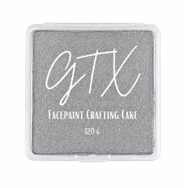 GTX Facepaint Steel Guitar Silver